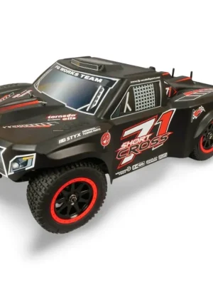FG Buggy Short Cross 4WD F260 26cc RTR 68200R - Bestpreis