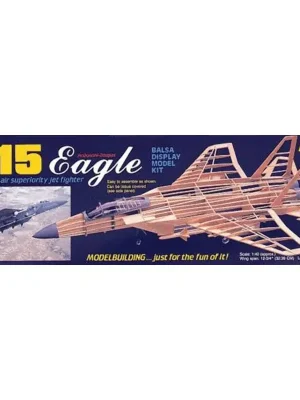 Letzte Chance - F-15 eagle RC-Flugzeug