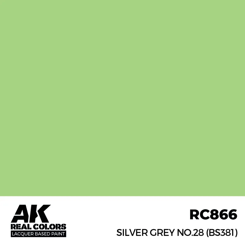 Silver Grey No.28 (BS381) - Profi-Qualität